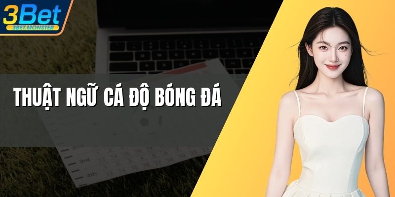 thuat ngu ca do bong da anh dai dien